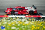 170723_ELMS_sportphoto_036