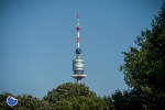 vienna2017_sport-photo_0208_029