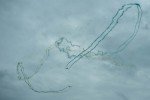 2019_Airpower_Sport-Photo_17